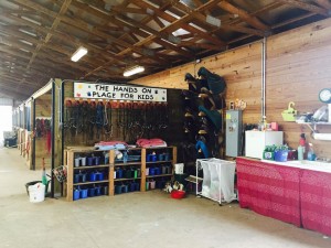 lessons tack shop